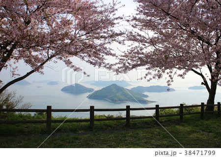 桜越しの瀬戸内海 38471799