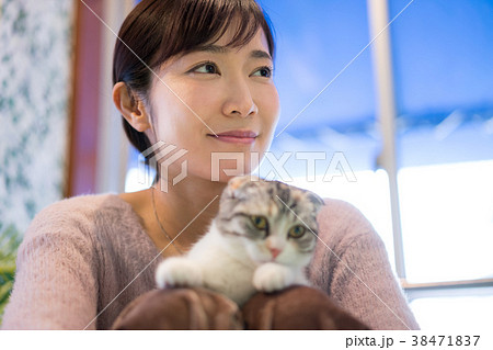 猫 アニマルセラピー ペット 猫 アニマルセラピー ペット 38471837