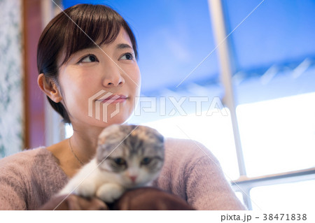 猫 アニマルセラピー ペット 猫 アニマルセラピー ペット 38471838