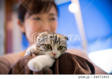 猫 アニマルセラピー ペット 猫 アニマルセラピー ペット 38471843