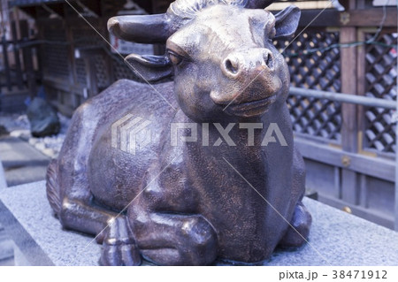 使いの牛 38471912