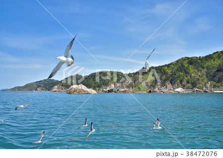 新潟　笹川流れ 38472076