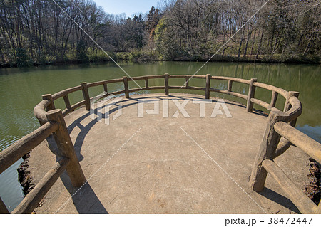 国営 武蔵丘陵 森林公園 笹沼 国営 武蔵丘陵 森林公園 笹沼 38472447