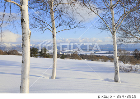 猪苗代湖と白樺　猪苗代町 38473919