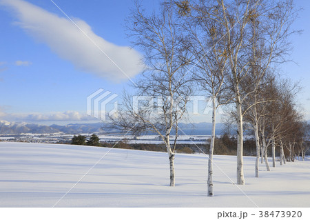 猪苗代湖と白樺　猪苗代町 38473920