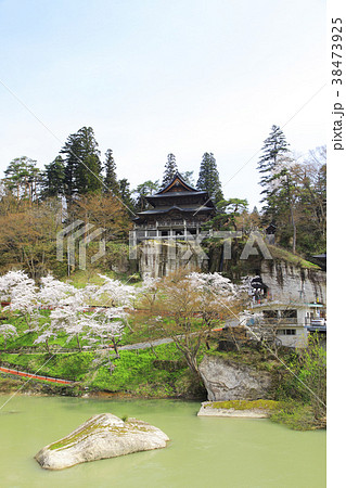 福満虚空蔵 圓蔵寺 桜 38473925