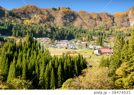 山里の杉林 38474035