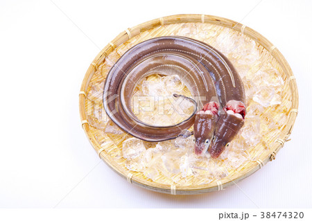 穴子　活〆 38474320