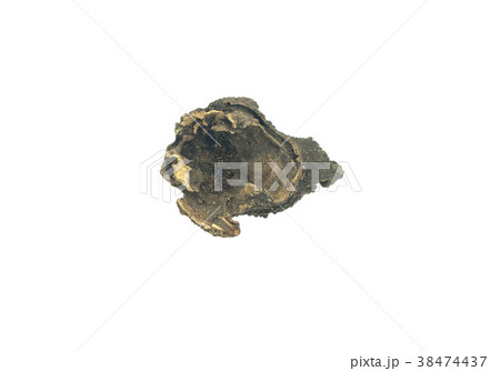 log wood isolate on white background 38474437