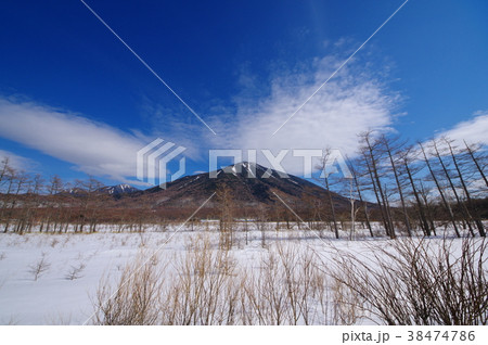 冬の奥日光 戦場ヶ原の東 雪と立木と男体山 日本ロマンチック街道より 超広角 d 日光表連山 冬の奥日光 戦場ヶ原の東 雪と立木と男体山 日本ロマンチック街道より 超広角 d 日光表連山 38474786