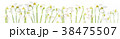 flatlay of snowdrop flowers on white background.  38475507