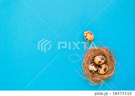 Spotted quail eggs in a straw nest  38475510
