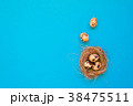 Spotted quail eggs  on turquoise background.  38475511