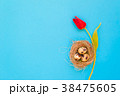 tilip flowers with spotted quail eggs 38475605