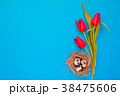 Spring red tilip flowers with quail eggs in a nest 38475606