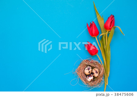 Spring red tilip flowers with quail eggs in a nest 38475606