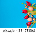 tulips with easter eggs on turquoise background 38475608