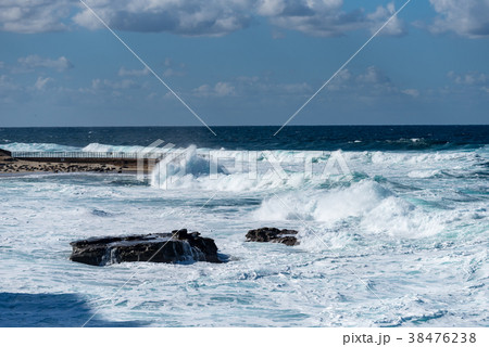 San Diego - Lao JollaのChildren's Pool 38476238
