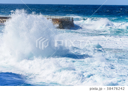 San Diego - Lao JollaのChildren's Pool 38476242