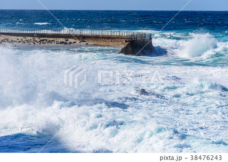 San Diego - Lao JollaのChildren's Pool 38476243