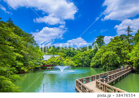 東京　井の頭公園の風景 38476554