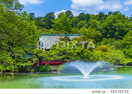 東京 井の頭公園の風景の写真素材 [38476558] - PIXTA