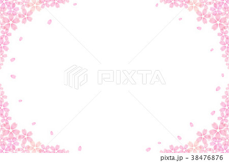 桜 花 春 白背景のイラスト素材