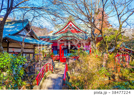 東京 井の頭公園の風景の写真素材 [38477224] - PIXTA