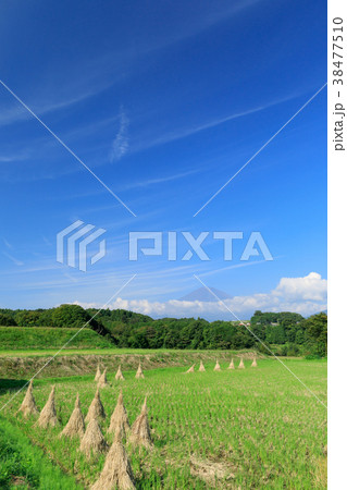富士を望む田園風景 38477510