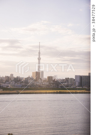 東京スカイツリー 東京スカイツリー 38477529