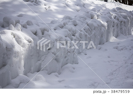 雪 雪 38479559