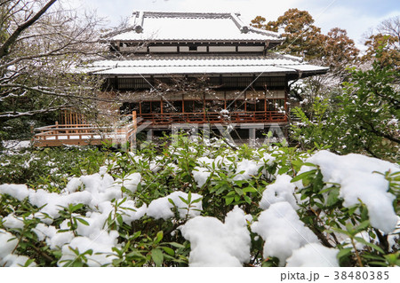 雪の友泉亭 38480385