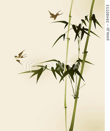 バンブー 青竹 竹 38480553