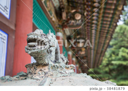 像 建築 慶北 38481879