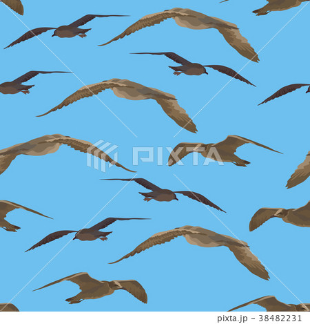 Birds Gulls Seamless 38482231