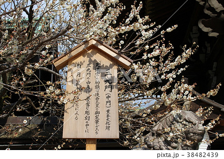 北野天満宮・三光門 北野天満宮・三光門 38482439