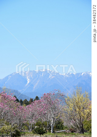 竜ヶ岳　三重県菰野町にて 38482572