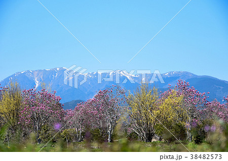 竜ヶ岳　三重県菰野町にて 38482573