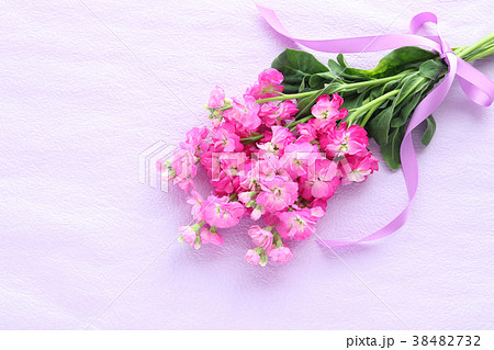 ストックの花束の写真素材