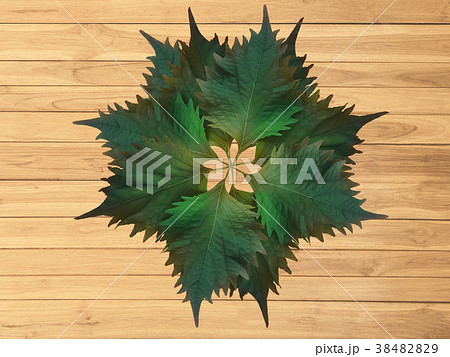 Oba leaves on wooden boards. 38482829