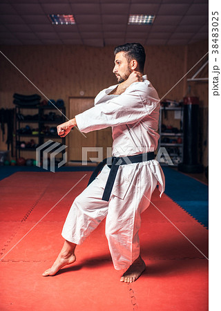Martial arts master on fight training in gym Martial arts master on fight training in gym 38483025