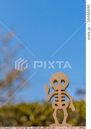 骸骨 イメージ 骸骨 イメージ 38486890