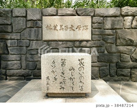 桜島の林芙美子文学碑 桜島の林芙美子文学碑 38487214