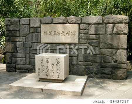 桜島の林芙美子文学碑 38487217