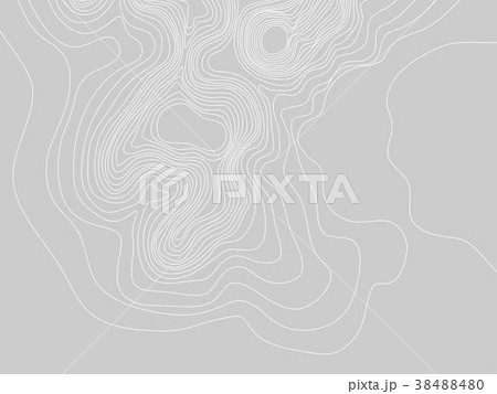 Abstract gray and white topographic contours lines Abstract gray and white topographic contours lines 38488480