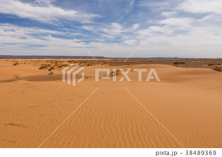 Dunes of Erg Chebbi, Morocco Dunes of Erg Chebbi, Morocco 38489369