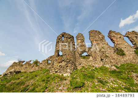 The ruins of the castle The ruins of the castle 38489793