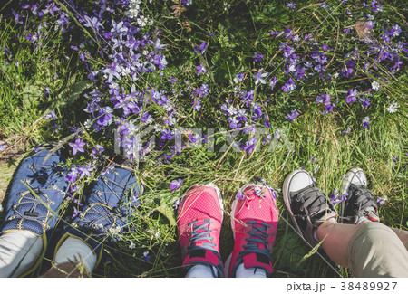 Legs of traveler family 38489927