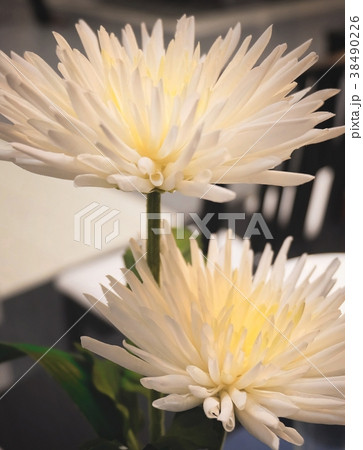 White Artificial Chrysanthemum Flowers 38490226