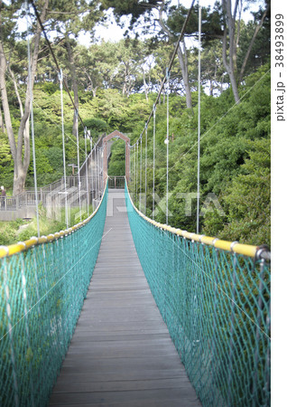 造形物 釜山 屋外 38493899
